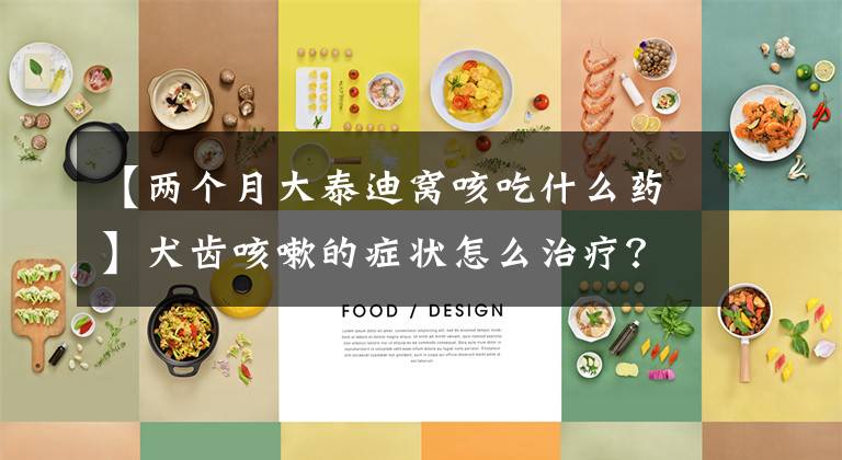【两个月大泰迪窝咳吃什么药】犬齿咳嗽的症状怎么治疗？