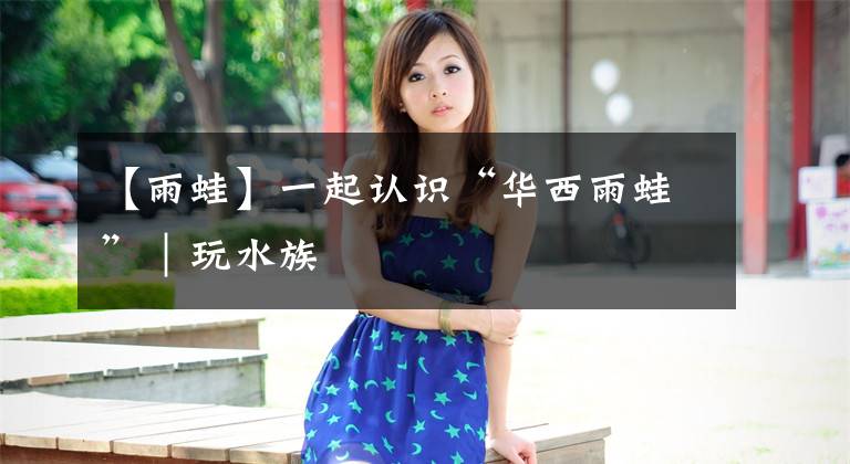 【雨蛙】一起认识“华西雨蛙”｜玩水族