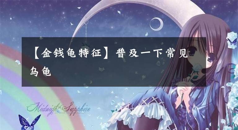 【金钱龟特征】普及一下常见乌龟