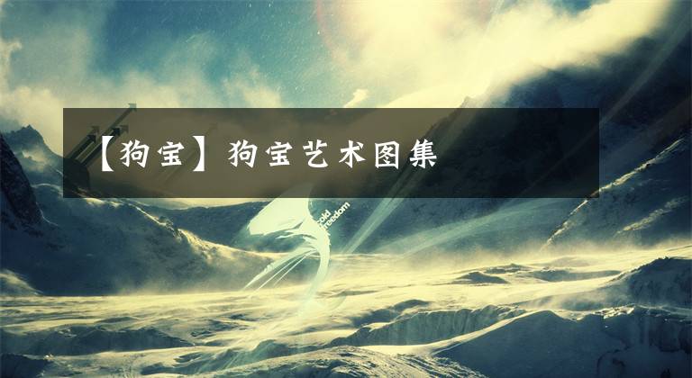 【狗宝】狗宝艺术图集
