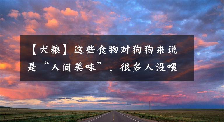 【犬粮】这些食物对狗狗来说是“人间美味”，很多人没喂过几种