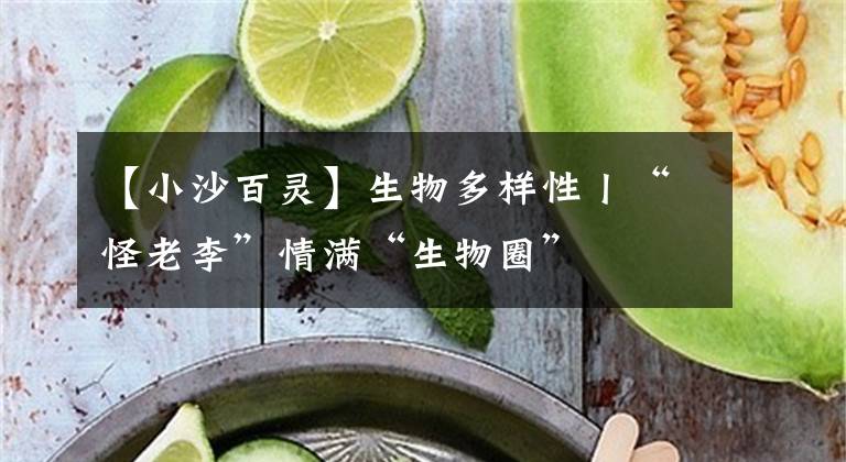 【小沙百灵】生物多样性丨“怪老李”情满“生物圈”