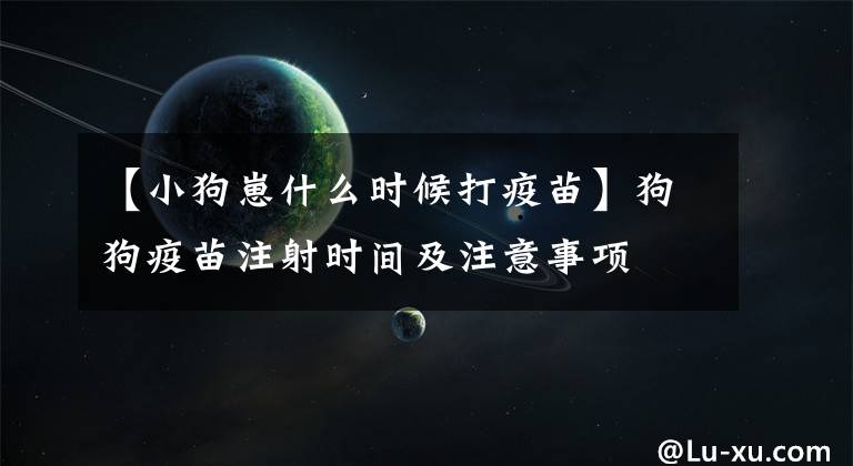 【小狗崽什么时候打疫苗】狗狗疫苗注射时间及注意事项