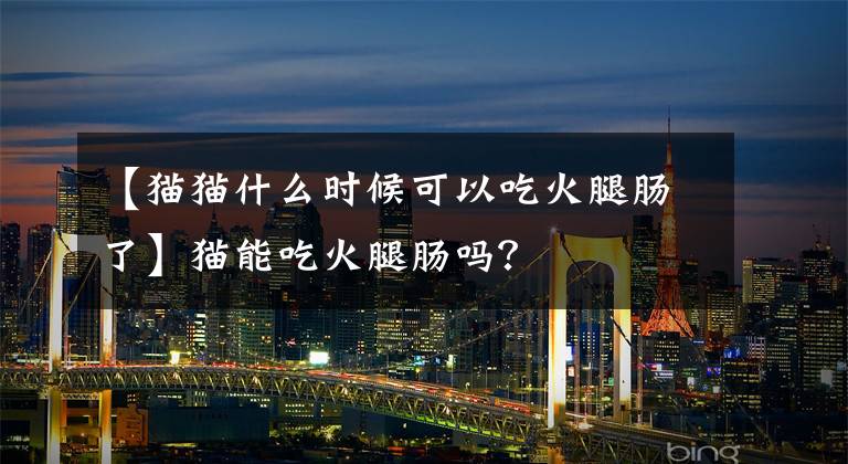 【猫猫什么时候可以吃火腿肠了】猫能吃火腿肠吗？