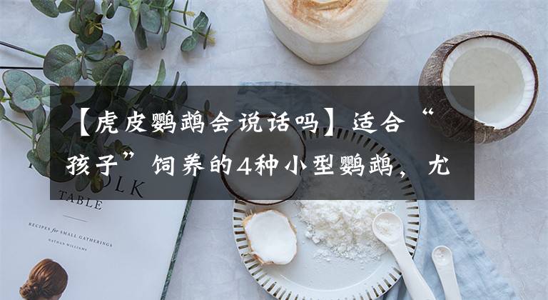 【虎皮鹦鹉会说话吗】适合“孩子”饲养的4种小型鹦鹉,尤其第4种鹦鹉,,温驯不吵闹