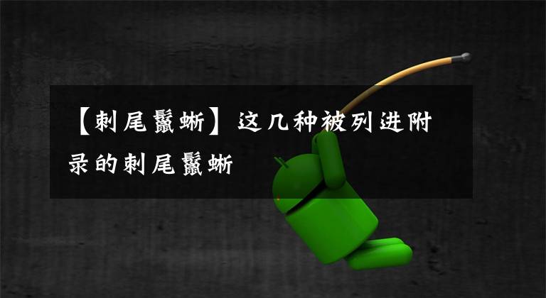 【刺尾鬣蜥】这几种被列进附录的刺尾鬣蜥