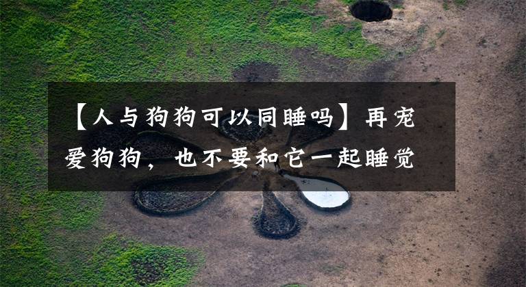 【人与狗狗可以同睡吗】再宠爱狗狗,也不要和它一起睡觉,否则对它对你都不好!
