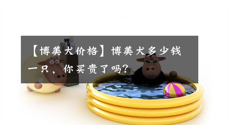 【博美犬价格】博美犬多少钱一只，你买贵了吗？