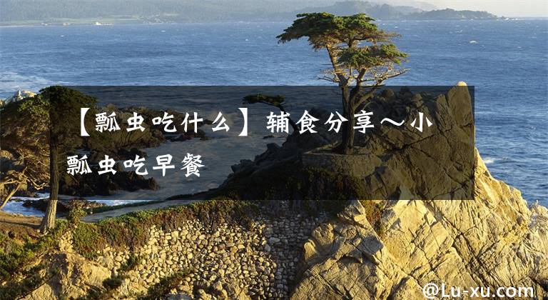 【瓢虫吃什么】辅食分享~小瓢虫吃早餐