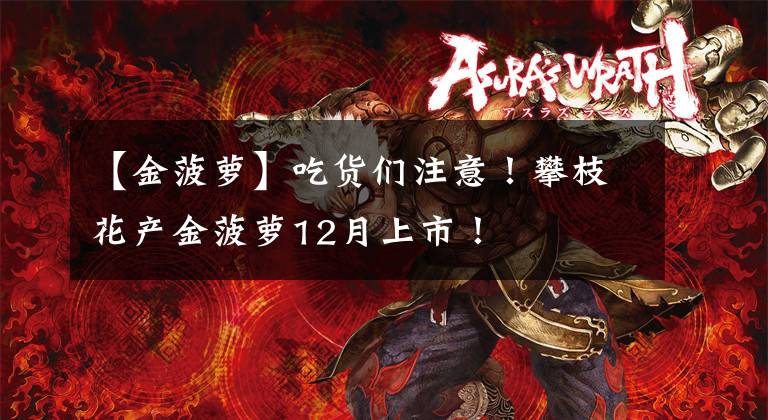 【金菠萝】吃货们注意!攀枝花产金菠萝12月上市!