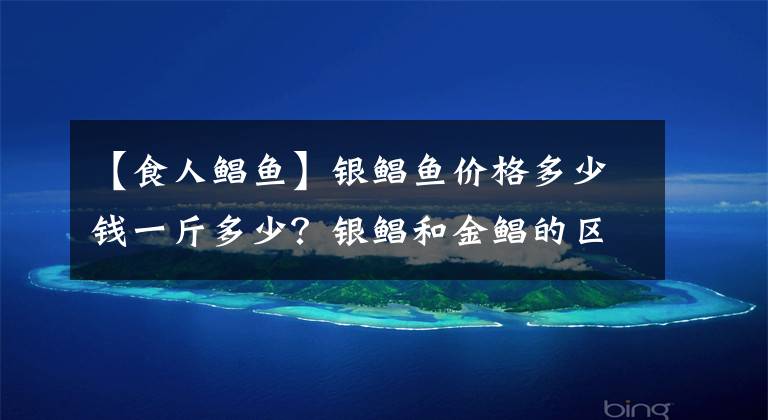 【食人鲳鱼】银鲳鱼价格多少钱一斤多少?银鲳和金鲳的区别