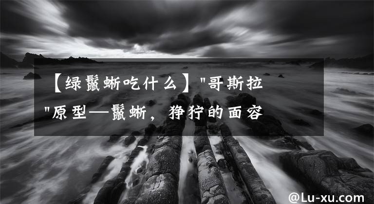 【绿鬣蜥吃什么】"哥斯拉"原型—鬣蜥，狰狞的面容下，竟藏着以素食为主的灵魂