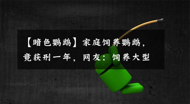 【暗色鹦鹉】家庭饲养鹦鹉，竟获刑一年，网友：饲养大型鹦鹉牢底坐穿