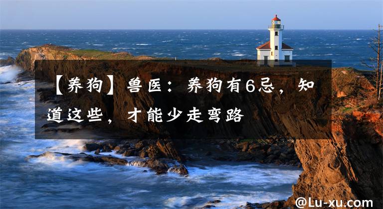 【养狗】兽医：养狗有6忌，知道这些，才能少走弯路