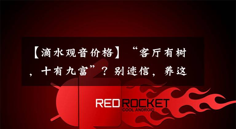 【滴水观音价格】“客厅有树，十有九富”？别迷信，养这8种绿植，很上档次