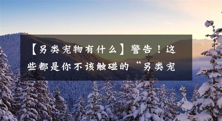 【另类宠物有什么】警告！这些都是你不该触碰的“另类宠物”