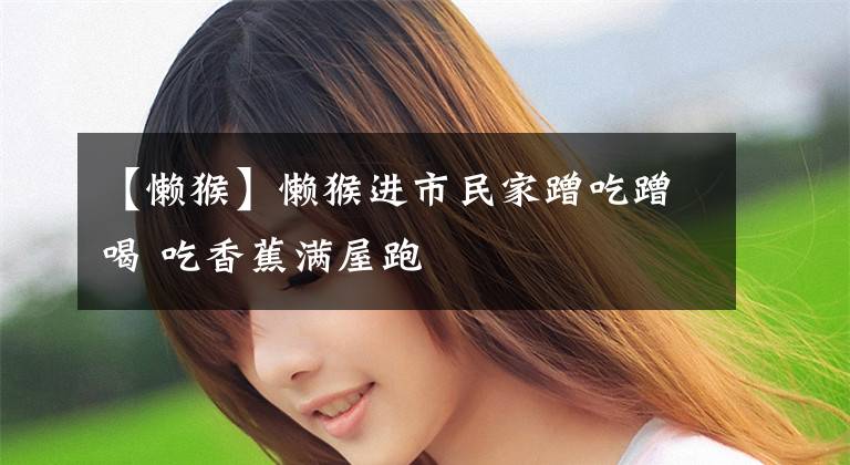 【懒猴】懒猴进市民家蹭吃蹭喝 吃香蕉满屋跑