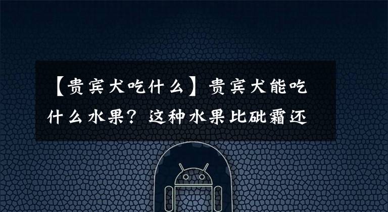 【贵宾犬吃什么】贵宾犬能吃什么水果?这种水果比砒霜还毒,一定要远离!