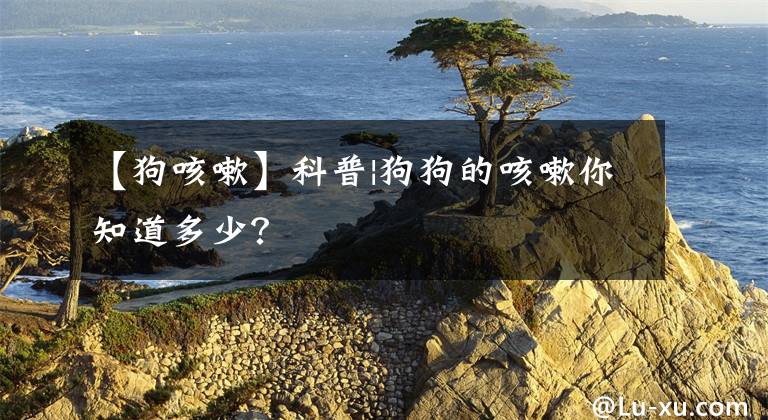 【狗咳嗽】科普|狗狗的咳嗽你知道多少?