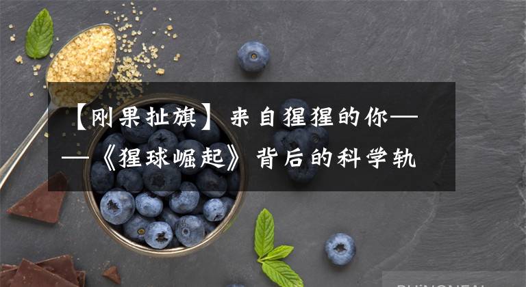 【刚果扯旗】来自猩猩的你——《猩球崛起》背后的科学轨迹