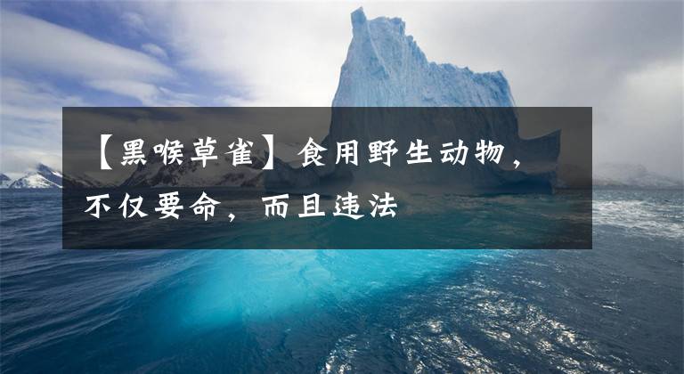 【黑喉草雀】食用野生动物，不仅要命，而且违法