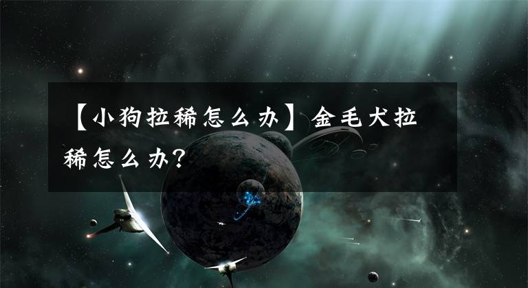 【小狗拉稀怎么办】金毛犬拉稀怎么办?