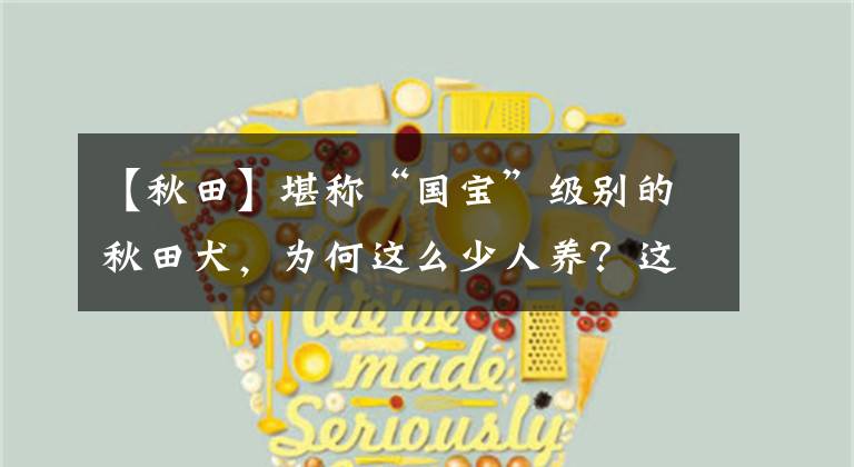 【秋田】堪称“国宝”级别的秋田犬，为何这么少人养？这6点是主要原因！