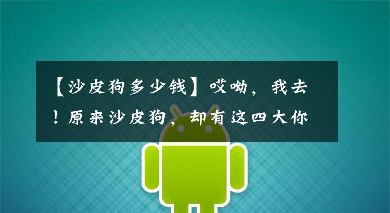 【沙皮狗多少钱】哎呦，我去！原来沙皮狗，却有这四大你不知道的优点？