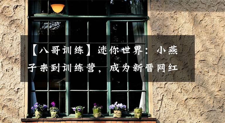【八哥训练】迷你世界：小燕子来到训练营，成为新晋网红，八哥训练失败