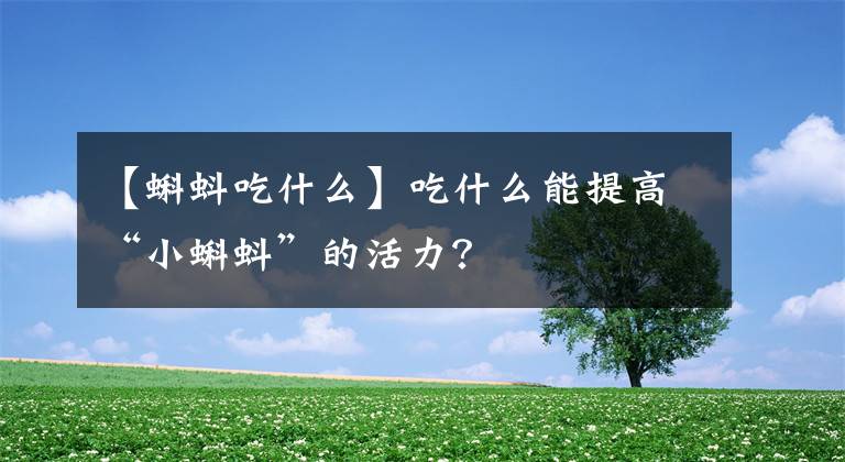 【蝌蚪吃什么】吃什么能提高“小蝌蚪”的活力?