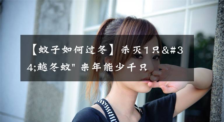 【蚊子如何过冬】杀灭1只"越冬蚊" 来年能少千只"蚊二代" 快查查你们家这些地方