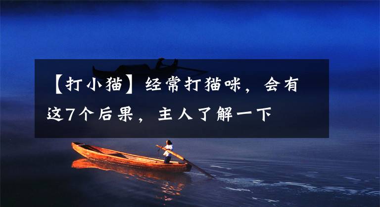 【打小猫】经常打猫咪，会有这7个后果，主人了解一下