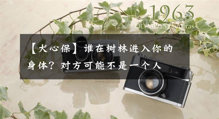 【犬心保】谁在树林进入你的身体?对方可能不是一个人