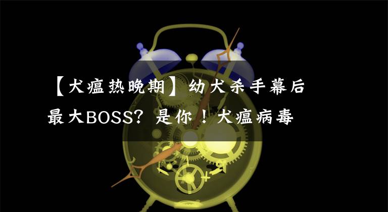 【犬瘟热晚期】幼犬杀手幕后最大BOSS？是你！犬瘟病毒