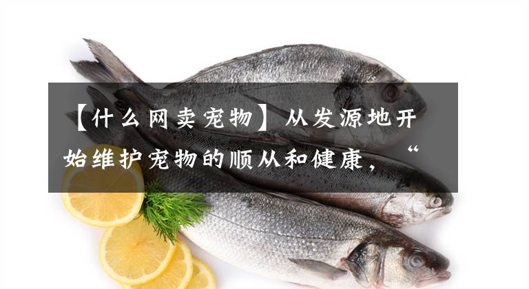 【什么网卖宠物】从发源地开始维护宠物的顺从和健康，“iFreePet”想成为廉价的宠物交易平台。