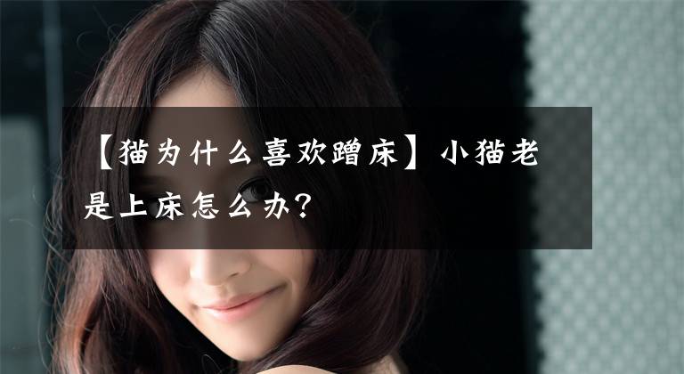 【猫为什么喜欢蹭床】小猫老是上床怎么办?