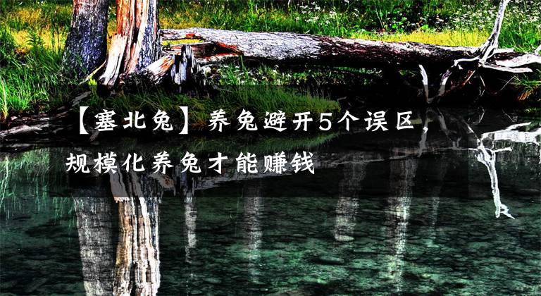 【塞北兔】养兔避开5个误区，规模化养兔才能赚钱