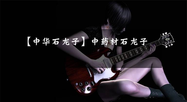 【中华石龙子】中药材石龙子