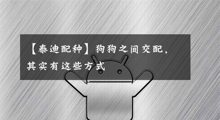 【泰迪配种】狗狗之间交配，其实有这些方式