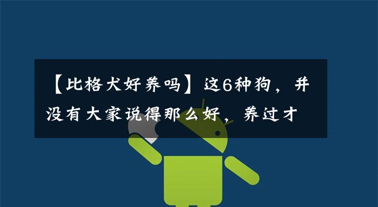 【比格犬好养吗】这6种狗，并没有大家说得那么好，养过才知道痛苦