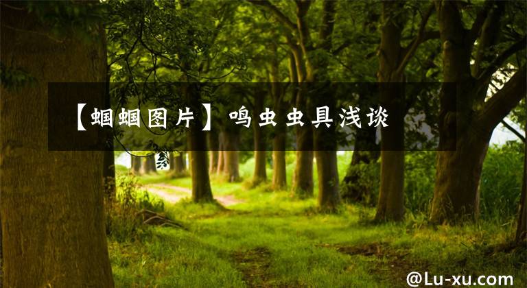 【蝈蝈图片】鸣虫虫具浅谈