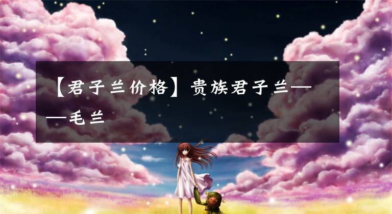 【君子兰价格】贵族君子兰——毛兰