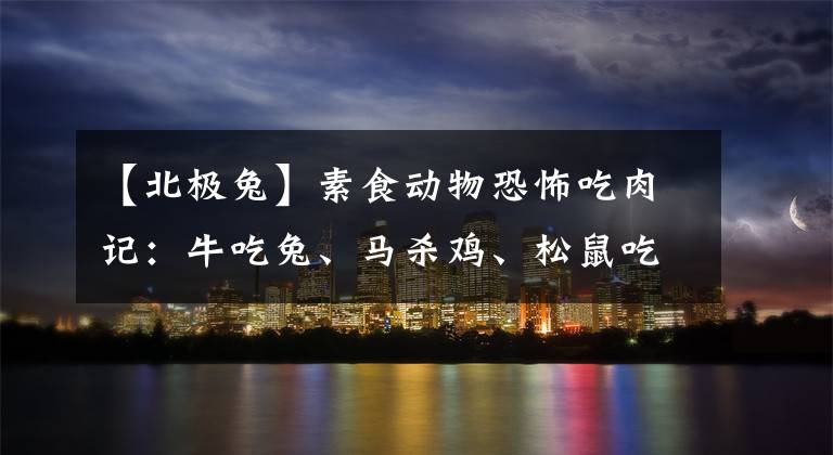 【北极兔】素食动物恐怖吃肉记：牛吃兔、马杀鸡、松鼠吃小鸟……