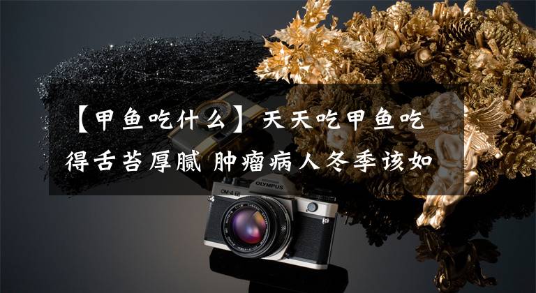 【甲鱼吃什么】天天吃甲鱼吃得舌苔厚腻 肿瘤病人冬季该如何科学进补