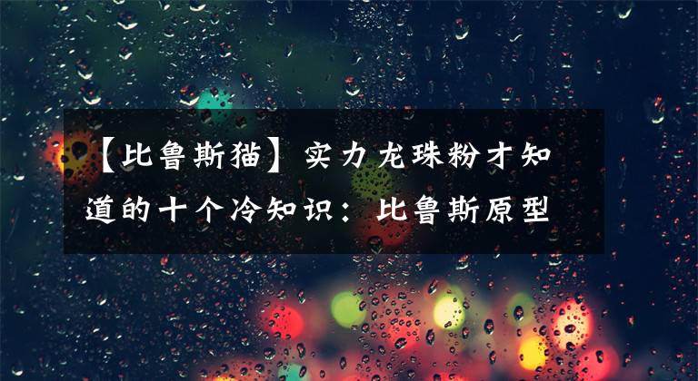 【比鲁斯猫】实力龙珠粉才知道的十个冷知识：比鲁斯原型是猫！