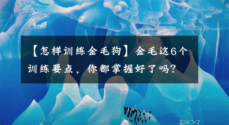 【怎样训练金毛狗】金毛这6个训练要点,你都掌握好了吗?宠主:全部都掌握了