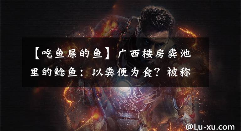 【吃鱼屎的鱼】广西楼房粪池里的鲶鱼:以粪便为食?被称为垃圾鱼的它能吃吗?