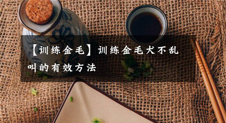【训练金毛】训练金毛犬不乱叫的有效方法