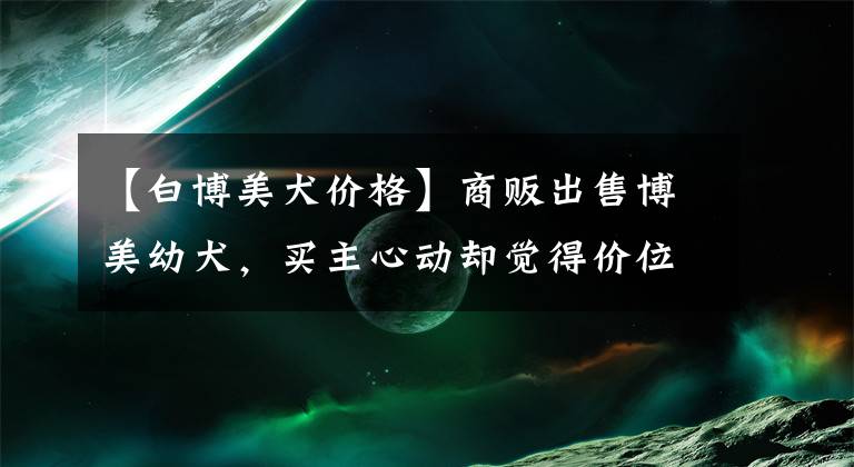 【白博美犬价格】商贩出售博美幼犬，买主心动却觉得价位太高不肯买！