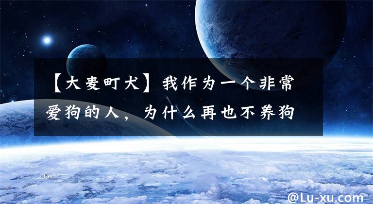 【大麦町犬】我作为一个非常爱狗的人,为什么再也不养狗了